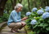 Hortensias pour ombre totale : quelles variétés choisir ? Femme dans un jardin examinant des hortensias en fleurs