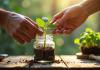 Main de jardinier trempant une plante dans un pot d'hormone de racine maison