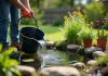Personne utilisant un seau pour puiser de l'eau dans un petit bassin de jardin